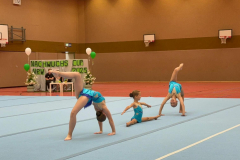 IMG-20250629-WA0045