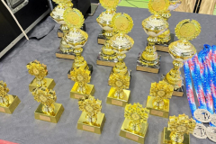 WhatsApp-Image-2025-11-29-at-16.25.04