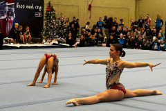 IMG-20241207-WA0155