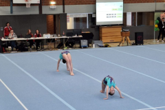 IMG-20250315-WA0029
